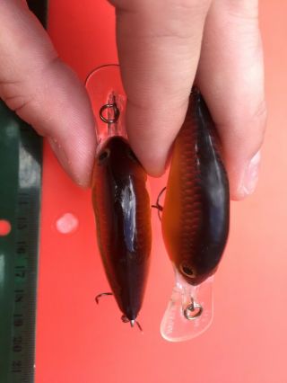 Vintage Rapala Balsa Rare DT - 6 CW Crawdad Bass Musky Salmon Pike Fishing Lure 3