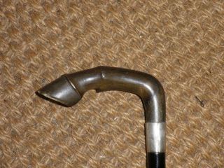 Antique Silver Bovine Horn Horse Leg Walking Cane ' W.  S.  H ' - 91cm 4