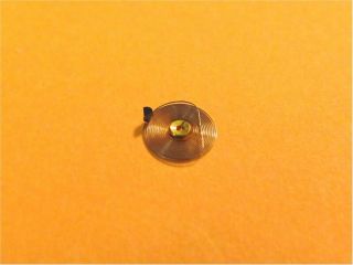 Military Wristwatch Part - Ww - Ii - White Alloy Hairspring For Elgin 8/0 Size - Nos