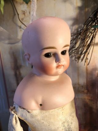 Gorgeous Antique German Closed Mouth Shoulder Head Doll.  Body
