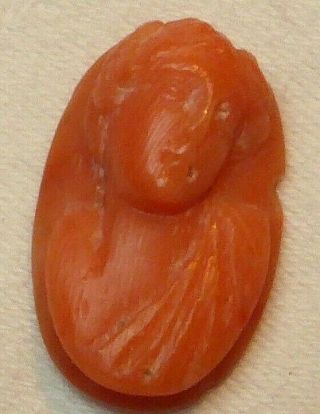 Antique Carved Real Salmon Unmounted Coral Cameo For Ring Or Brooch