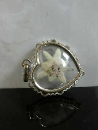 Ww1 Ww2 Rare Real Edelweiss Heart Pendant Silver Plated Ornate Frame