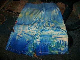 NWT Vintage IRON MAIDEN SEVENTH SON OF A Dragonfly Surf Board Shorts 29 - 30 6