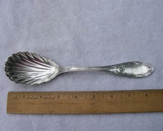 Coin Silver Jenny Lind Pattern Berry Spoon - 8 3/8 Inch - Marked Lewis - Nr