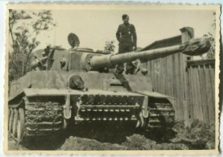 German World Warii Archived Photo Panzer Vi Heavy Tank