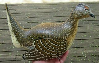 Vintage Life Size Wood Carved Sharp Tail Grouse Decoy Duck Decoy Wood Carving