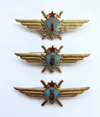 100 Soviet Class Badges Air Forces Ussr (cu/enemal)