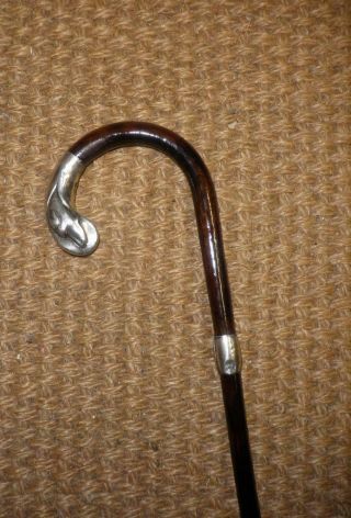 Antique H/m 1916 Silver Walking Cane - With Silver Dog Hound Head Detail.