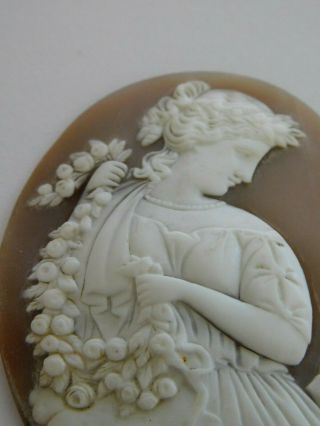 Antique Carved Cameo (for Brooch) Carved Shell Cameo