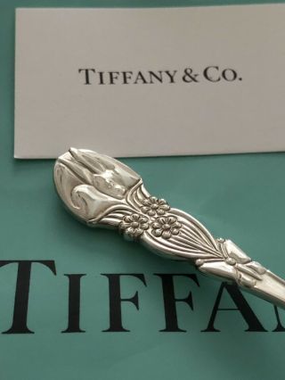 Tiffany & Co.  Sterling Silver Baby/infant Feeding Spoon 5.  5 " Bunny Butterfly