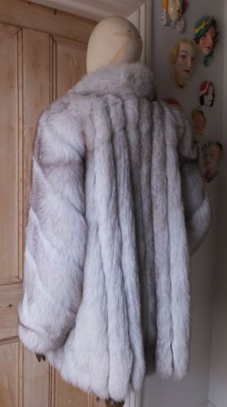 Unworn 32 " Long Real Fur Natural " Saga " Blue Fox Short Coat Uk Sz 12 To 14.