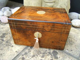 Terrific 19c Antique Inlaid Walnut Document/jewellery Box - Fab Interior