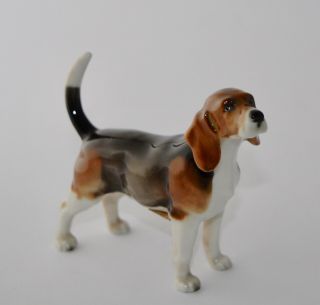 Vintage Hutschenreuther Dog Beagle Figurine 2298/2f - With Tags 2