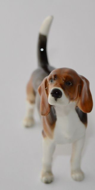 Vintage Hutschenreuther Dog Beagle Figurine 2298/2f - With Tags 4