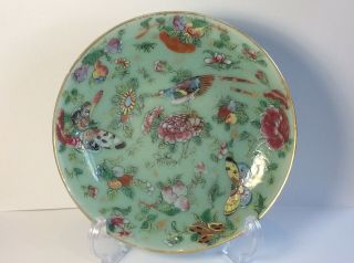 A Small 19th C Qing Chinese Celadon Ground Famille Rose Dish Plate