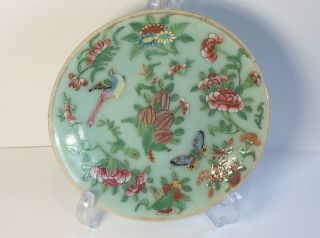 A Small Chinese 19th C Celadon Famille Rose Dish Plate Period Marked