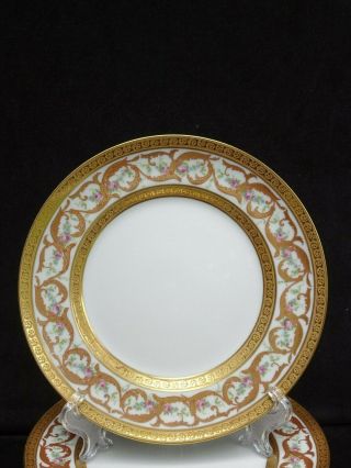 8 EXQUISITE ANTIQUE M.  REDON LIMOGES FRANCE GOLD ENCRUSTED SALAD PLATES 3