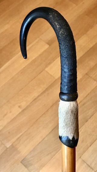 Vintage Antique 1920’switzerland Alpine Endelberg Horn Handle Walking Stick Cane