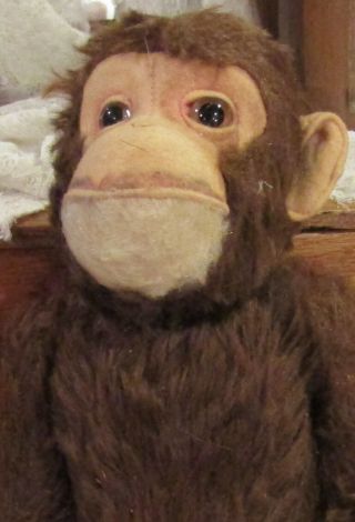 Antique 12 " Schuco Fully Jointed Yes No Monkey W/glass Eyes