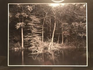 Vintage Photograph By Linda Connor 1978 Black And White Landscape 2