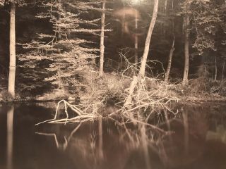 Vintage Photograph By Linda Connor 1978 Black And White Landscape 3