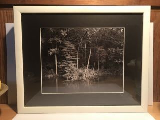 Vintage Photograph By Linda Connor 1978 Black And White Landscape 6