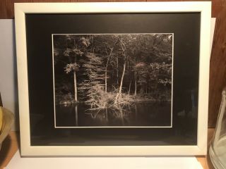 Vintage Photograph By Linda Connor 1978 Black And White Landscape 7