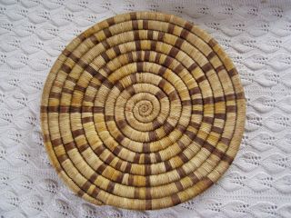 Vintage Hopi Second Mesa Coiled Plaque Basket 11.  25 "