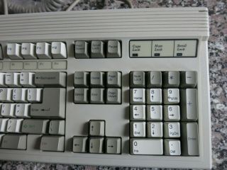 Focus FSQ4VY FK - 2001 Vintage Mechanical Clicky Keyboard with PS/2 adapter 5