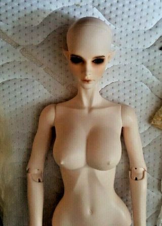Impldoll Azalea Loss of Brilliant Limited full set BJD doll rare Imp Idol body 2