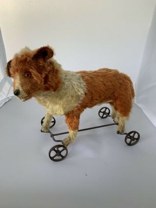 1900’s Rare Antique Fox On Wheels