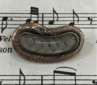 Antique English Mourning Hair Brooch / Pendant Snake C.  1880