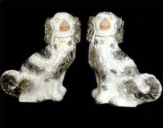 Pair Antique 19th Century Staffordshire Pottery Spaniel Dogs
