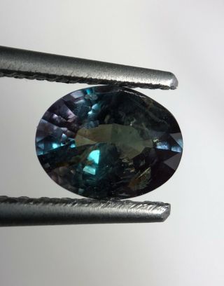 GFCO certified Natural Alexandrite 0.  67 CTs very rare stone for engagement ring. 3