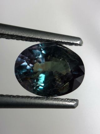 GFCO certified Natural Alexandrite 0.  67 CTs very rare stone for engagement ring. 4