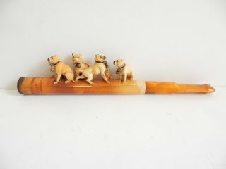 Antique Victorian Meerschaum Pipe Carved Pug Dog Bells Amber Stem Box 1