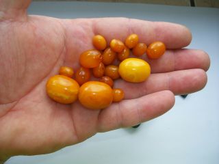 Antique natural Baltic amber stone beads toffee amber 波羅的海琥珀 6