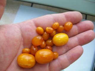 Antique natural Baltic amber stone beads toffee amber 波羅的海琥珀 7
