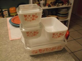 Vintage Pyrex Pink Gooseberry Fridge Set 7 PC Rare 2