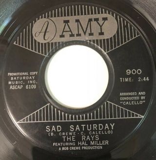 Northern Soul 45 RARE The Rays w/ Hal Miller PROMO Love Another Girl 2