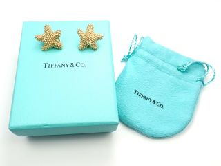 Rare Tiffany & Co Sterling Silver Large Bumpy Starfish Earrings Box,  Pouch 2