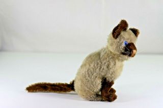 Vintage Steiff Mohair Chocolate Point Siamese Cat Blue Glass Eyes,  No Button 2