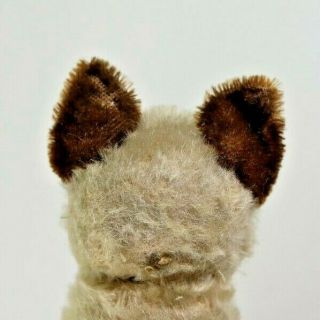 Vintage Steiff Mohair Chocolate Point Siamese Cat Blue Glass Eyes,  No Button 7
