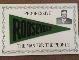 Vtg Postcard Theodore Teddy Roosevelt Political - The Man For The People -