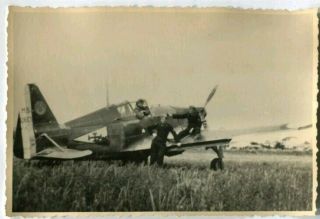 World Warii Archived Photo Italian Airforce Maachi Mc.  205 Veltro Aircraft
