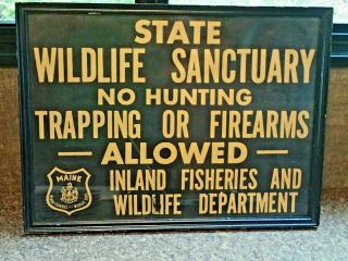 Vintage Maine Inland Fisheries & Wildlife Poster No Hunting Trapping Or Firearms