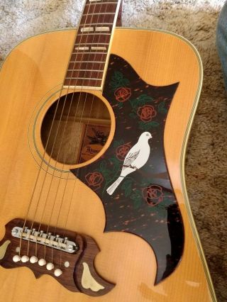 Vintage Alvarez 5024 Dove Japan Crafted Lawsuit Guitar 2