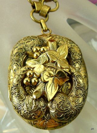Victorian Rare Lg Repousse Lavalier Pendant Photo Locket Book Chain Necklace
