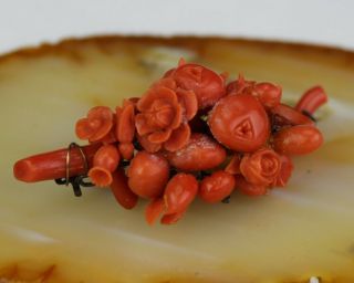 Old Chinese Carved Natural Red Salmon Branch Coral Floral Ladys Brooch Pin Msw