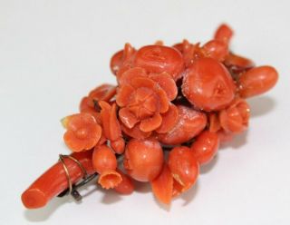 Old Chinese Carved Natural Red Salmon Branch Coral Floral Ladys Brooch Pin MSW 2